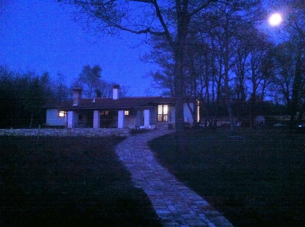 Homes D&d * Pula